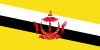 Live TV-Sender aus  Brunei 