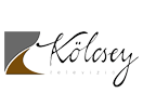 Schau Kölcsey TV live