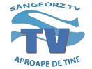 Schau Sângeorz TV live