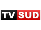 Schau TV Sud live