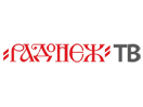 Schau Radonezh TV live
