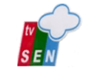 Schau TV Sen live