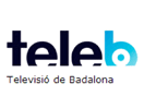 Schau Tele B live