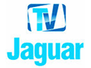 Schau TV Jaguar live