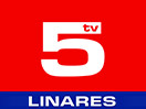 Schau TV 5 Linares live