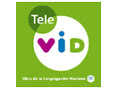 Schau Tele Vid live