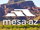 Schau Mesa live