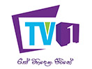 Schau TV 1 live
