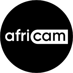 Wild Africa Safari Live Camera