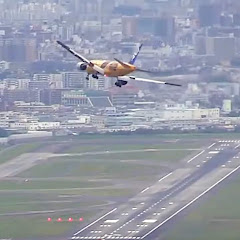Schau Kansai Live Cams Osaka live